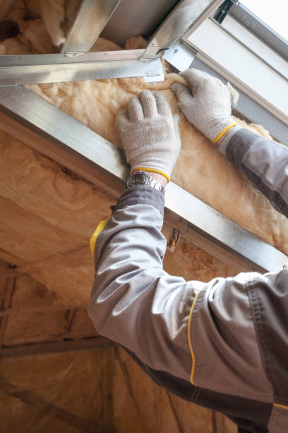 Best Cellulose Insulation  in Oregon, OH